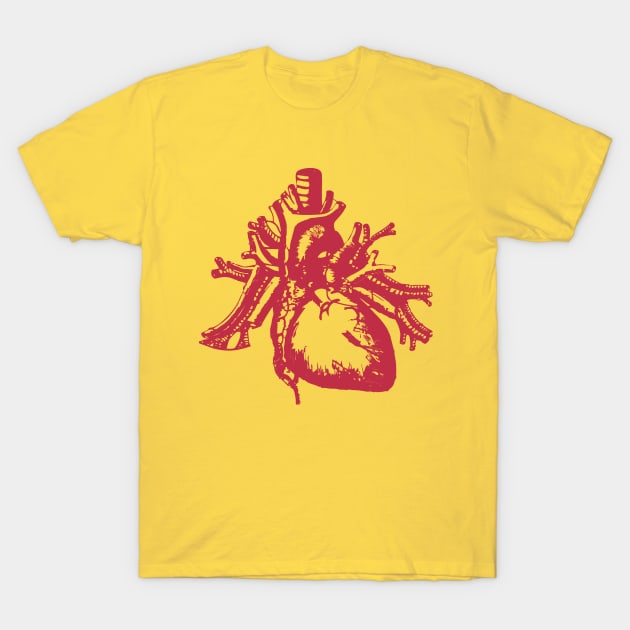 Love Anatomy T-Shirt by Jigsaw Youth